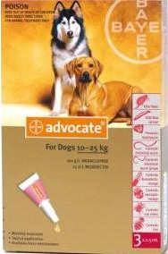 Advocate Large Dog Red (10-25kg)