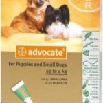 Advocate Small Dog Green (0-4kg)