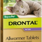Drontal Cat Allwormer (2 Tablets With Applicator)