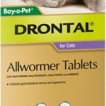 Drontal Cat Allwormer Refill (4 Tablets)