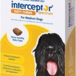 Interceptor Spectrum Tasty Chews Medium Dog Yellow (11-22kg)