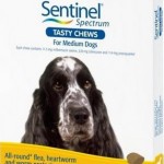 Sentinel Spectrum Tasty Chews Medium Dog Yellow (11-22kg)