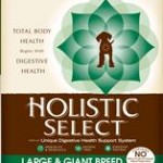 Holistic Select Large & Giant Breed Puppy Health Lamb Meal & Oatmeal