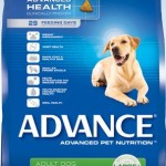 Advance Weight Control Large Breed