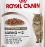 Royal Canin Ageing +12 In Jelly