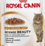 Royal Canin Intense Beauty Adult In Jelly